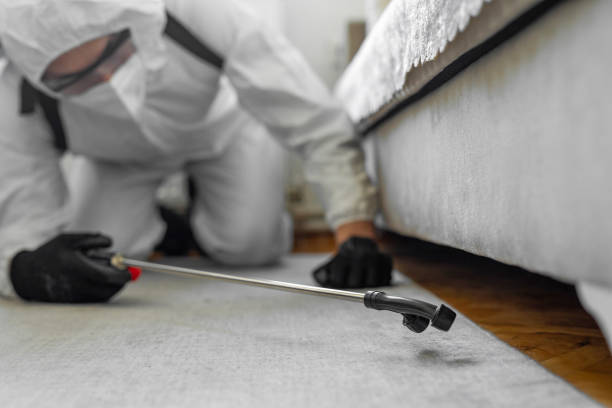 Professional Bed Bug Control technician working in Memphis, MI