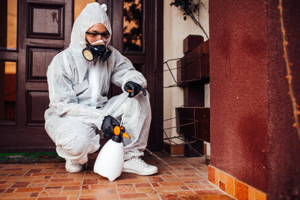 Reliable Bed Bug Control contractor in Memphis, MI by Nex Pest Control