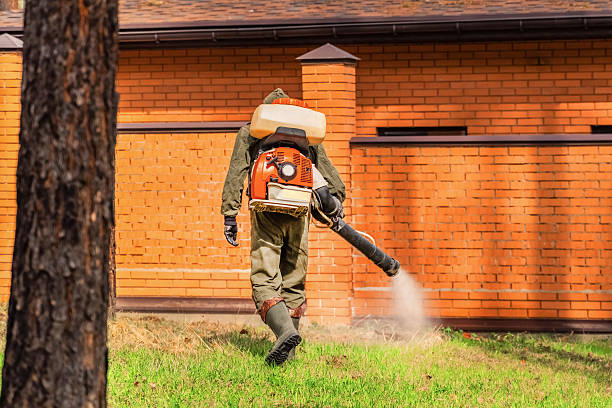 Top rated local Bed Bug Control specialists in Memphis, MI
